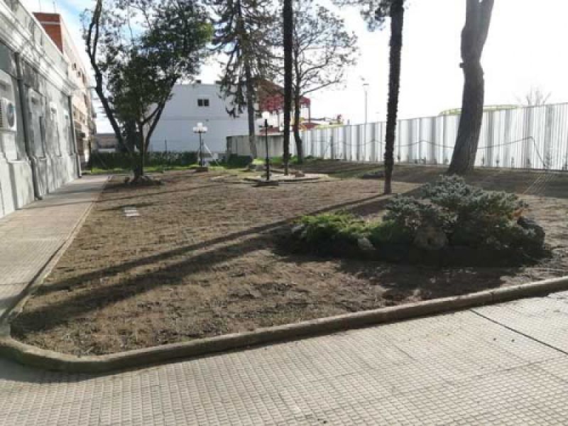 Siembra de cesped Siembra de cesped