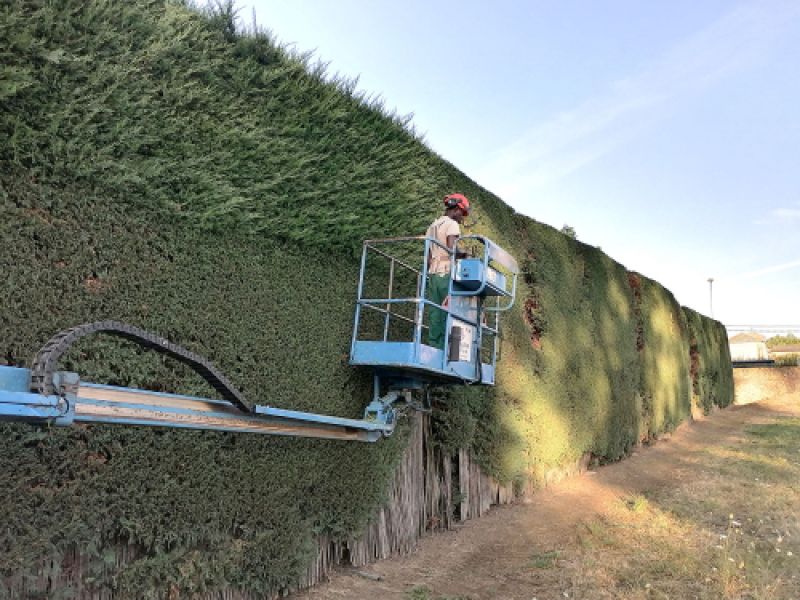 Maquinaria grúa con operario realizando poda en lateral de seto Maquinaria grúa con operario realizando poda en lateral de seto