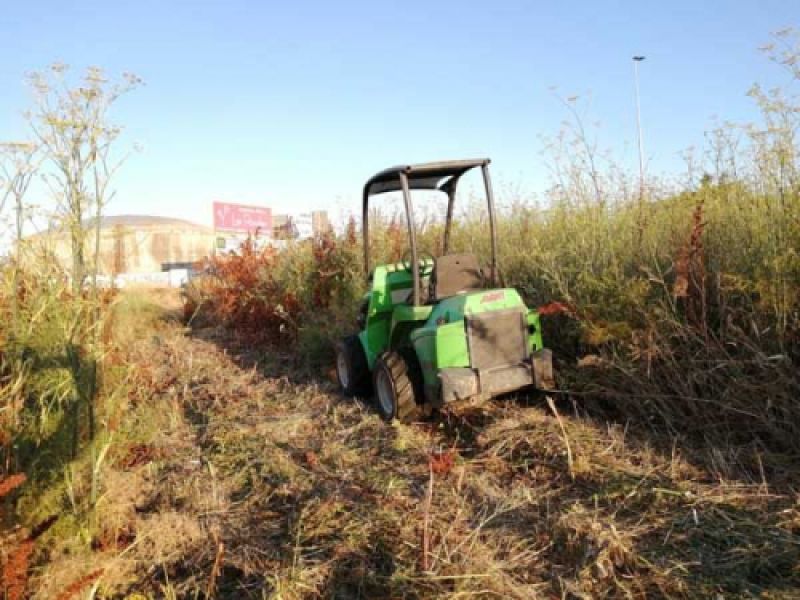 desbroce con maquina de cadenas desbroce con maquina de cadenas