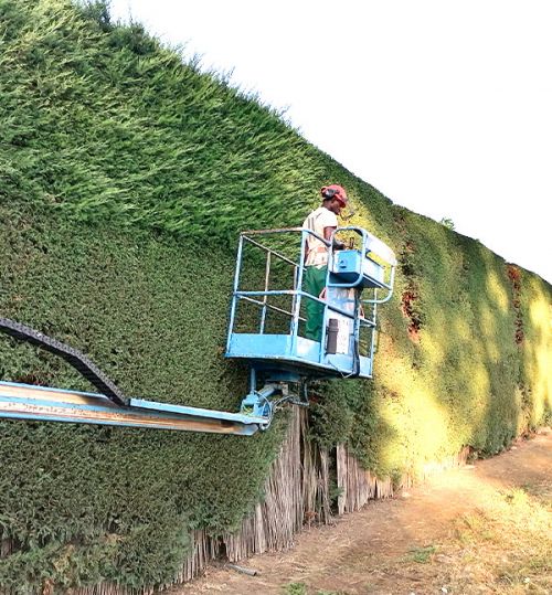 Contactar con estalote jardinería Contactar con estalote jardinería