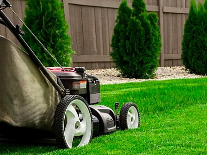 Empresa de jardinería en San Feliz de Torío Empresa de jardinería en San Feliz de Torío
