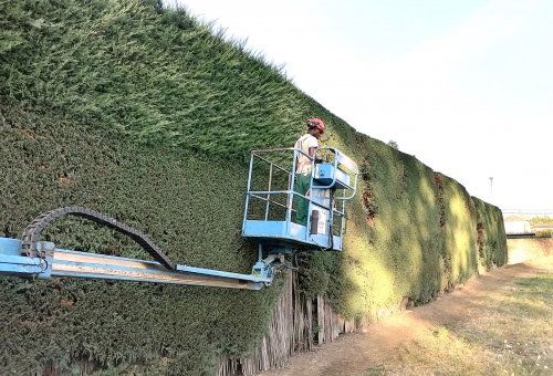 Servicios profesionales de Jardinería Estalote Servicios profesionales de Jardinería Estalote