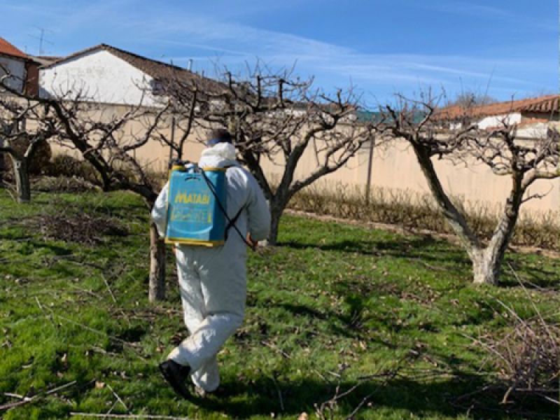 tratamientos tratamientos